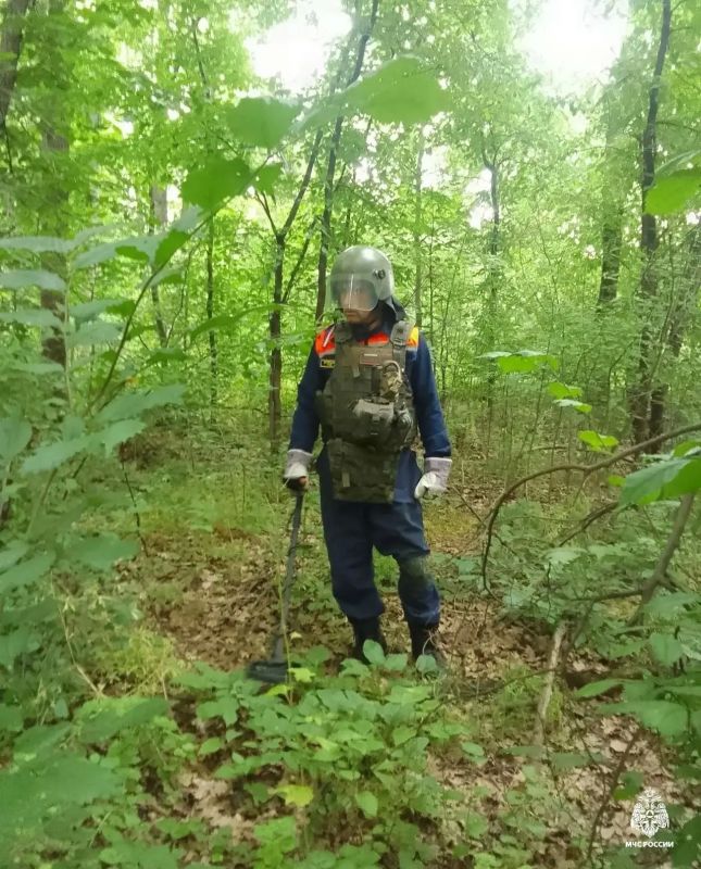 За прошедшие сутки на территории региона зарегистрирован 1 пожар За прошедшие сутки на территории региона зарегистрирован 1 пожар