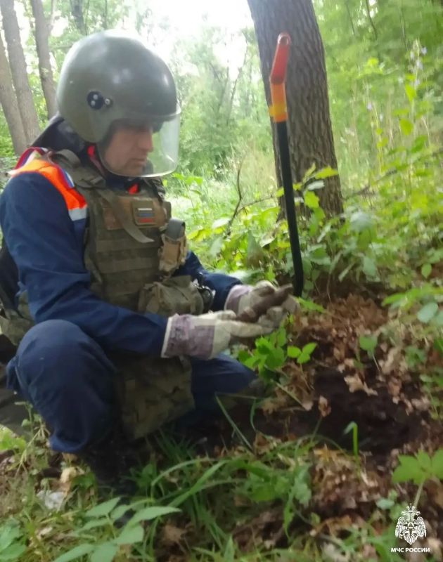 За прошедшие сутки на территории региона зарегистрирован 1 пожар За прошедшие сутки на территории региона зарегистрирован 1 пожар