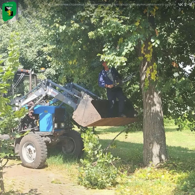 В Белгородском округе продолжается благоустройство территорий В Белгородском округе продолжается благоустройство территорий