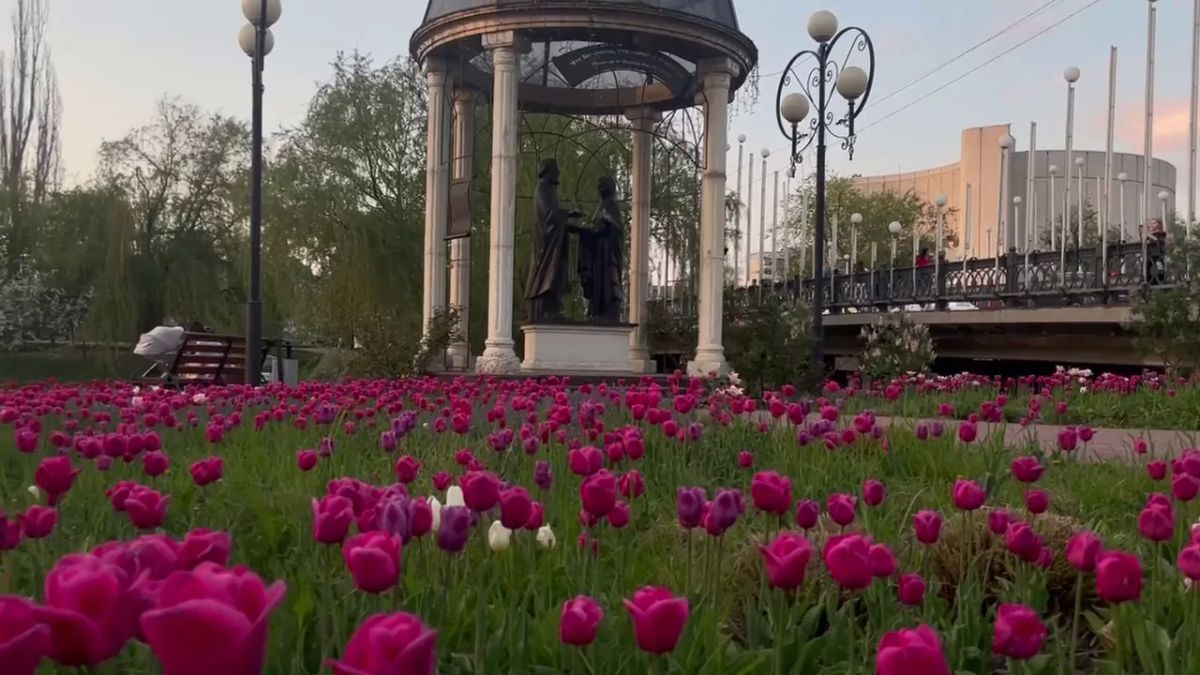 В Белгородской области пособия и пенсии получают 3 891 Петр, 67 Ефросиний и 5 Февроний