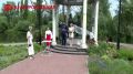 В День семьи, любви и верности в Белгороде сыграли 25 свадеб