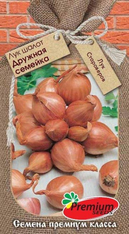 Шалот или семейный лук: правда о растении, которую нужно знать