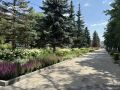 Кто недавно гулял по парку Ленина? Вот как там сейчас красиво