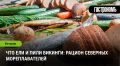 Вкусы викингов: чем питались северные завоеватели