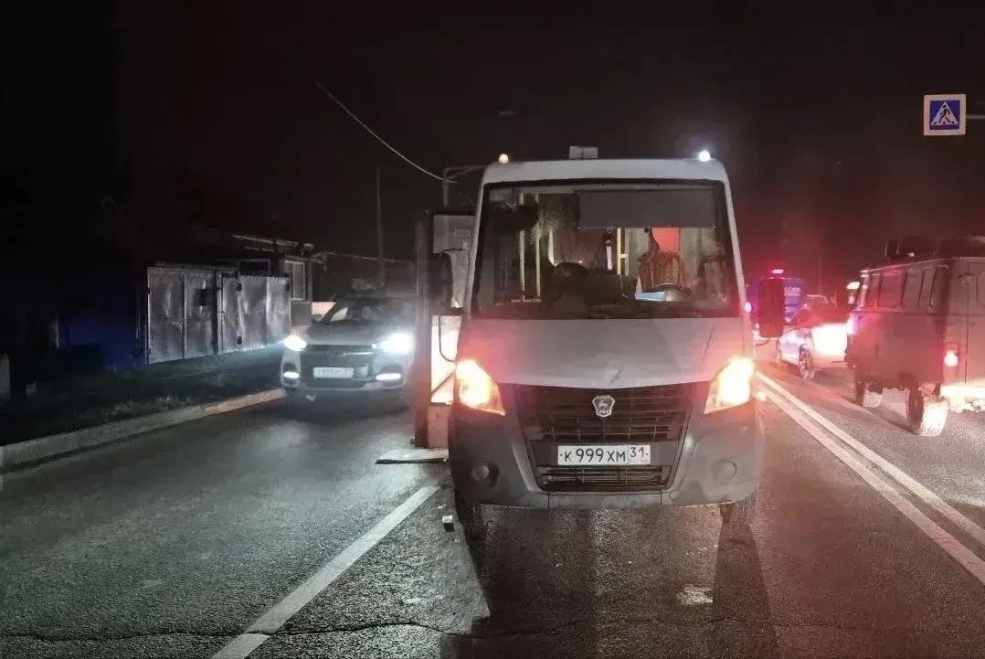 В Белгороде осудили водителя автобуса, сбившего женщину на пешеходном переходе В Белгороде осудили водителя автобуса, сбившего женщину на пешеходном переходе