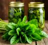Щавель: ценный зеленый кулинарный союзник