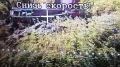 В Волчанском районе «Северяне» уничтожили вражескую РЛС «Рада»
