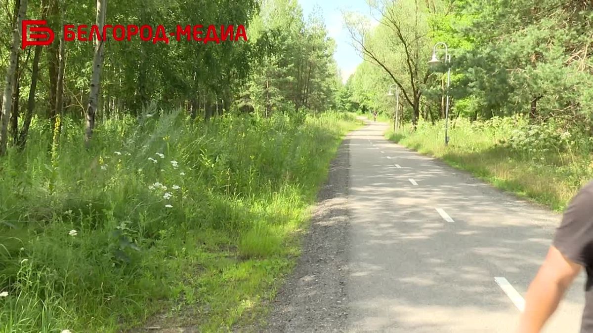 В белгородских лесах ежедневно проводят противопожарные рейды
