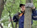 Сотрудники белгородского МЧС спасли забравшегося на высокое дерево котёнка