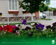 16 июля. Температура воздуха 26°C, переменная облачность, кратковременные дожди