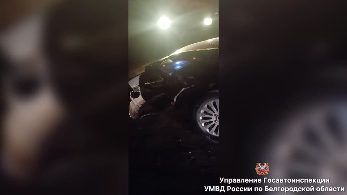 #СВОДКА_ДТП. По предварительным данным, вчера около 20 часов 50 минут в дачном товариществе «Колос» Старооскольского округа 35-летний водитель, управляя автомобилем «Форд Фокус», перед поворотом налево не занял...