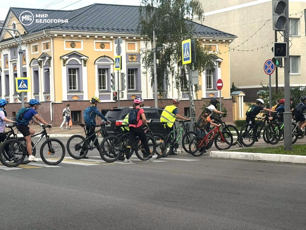 Необычную велосипедную процессию заметили в Белгороде наши подписчики Необычную велосипедную процессию заметили в Белгороде наши подписчики