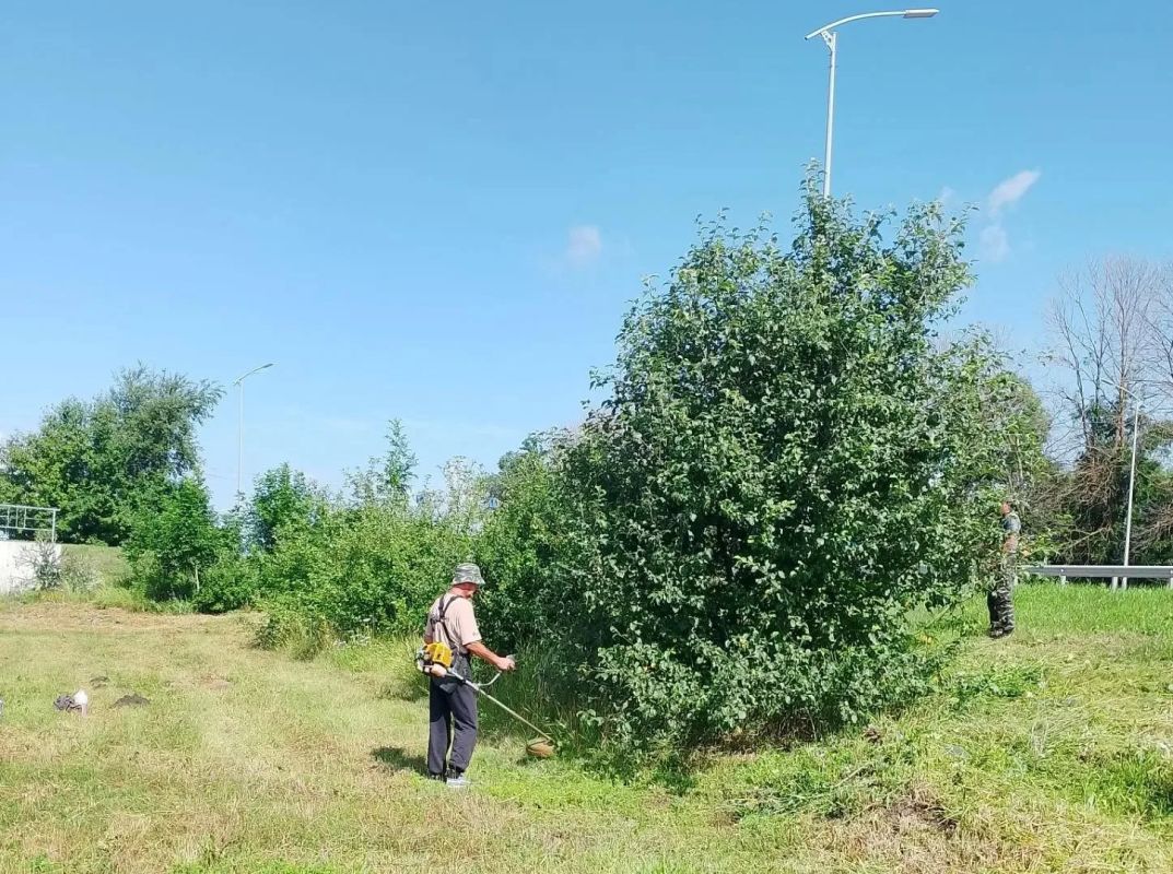 Татьяна Круглякова: В Белгородском округе продолжаются работы по поддержанию санитарного порядка Татьяна Круглякова: В Белгородском округе продолжаются работы по поддержанию санитарного порядка