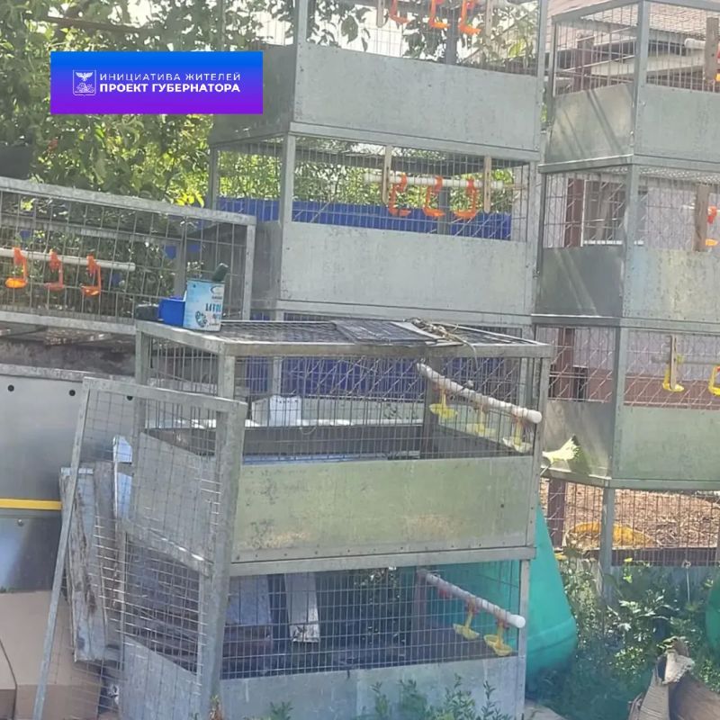 Жительница Белгородского округа начала своё дело благодаря социальному контракту Жительница Белгородского округа начала своё дело благодаря социальному контракту
