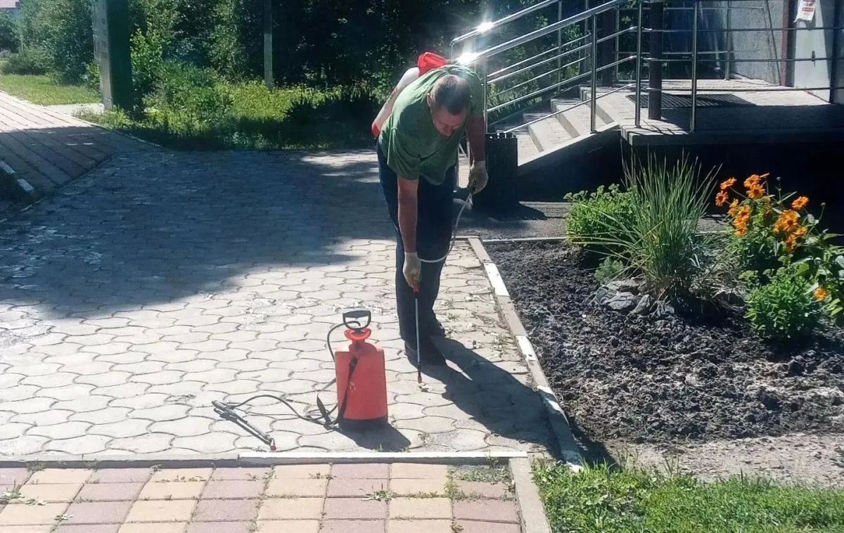 Татьяна Круглякова: В Белгородском округе продолжаются работы по поддержанию санитарного порядка Татьяна Круглякова: В Белгородском округе продолжаются работы по поддержанию санитарного порядка