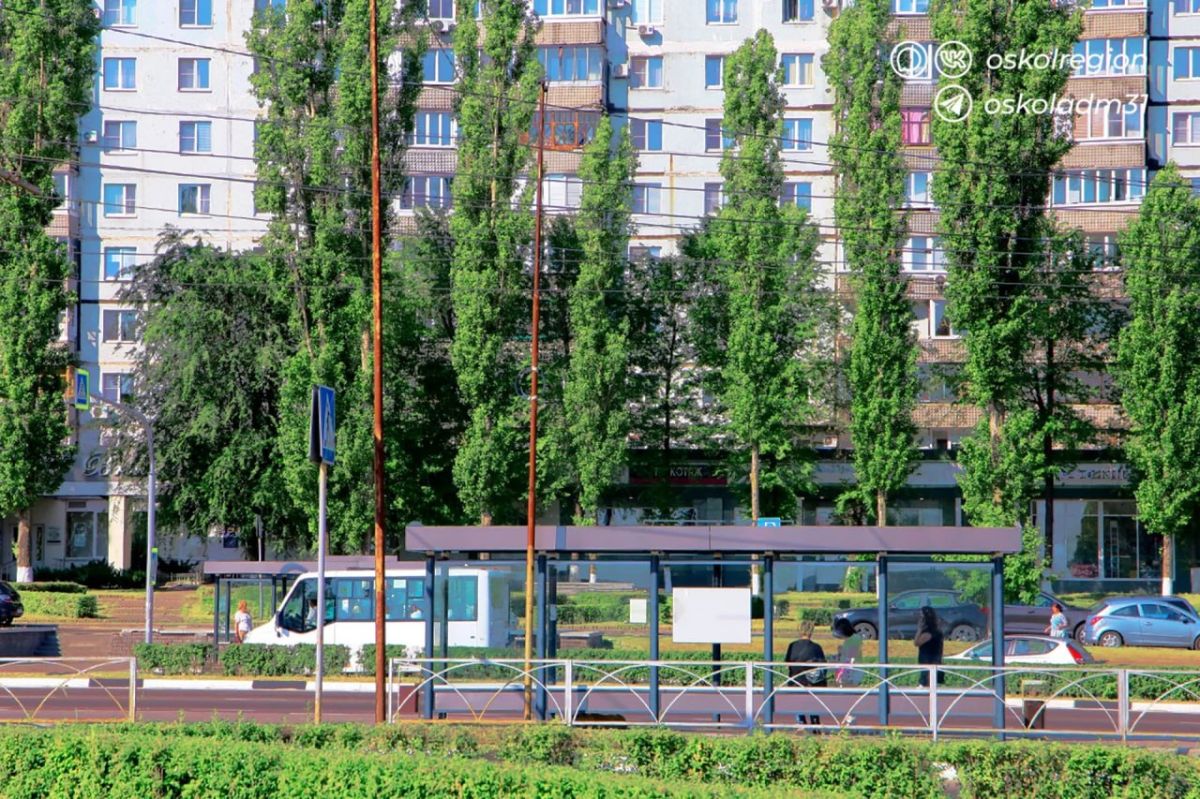 Доброе утро, старооскольцы! Доброе утро, старооскольцы!