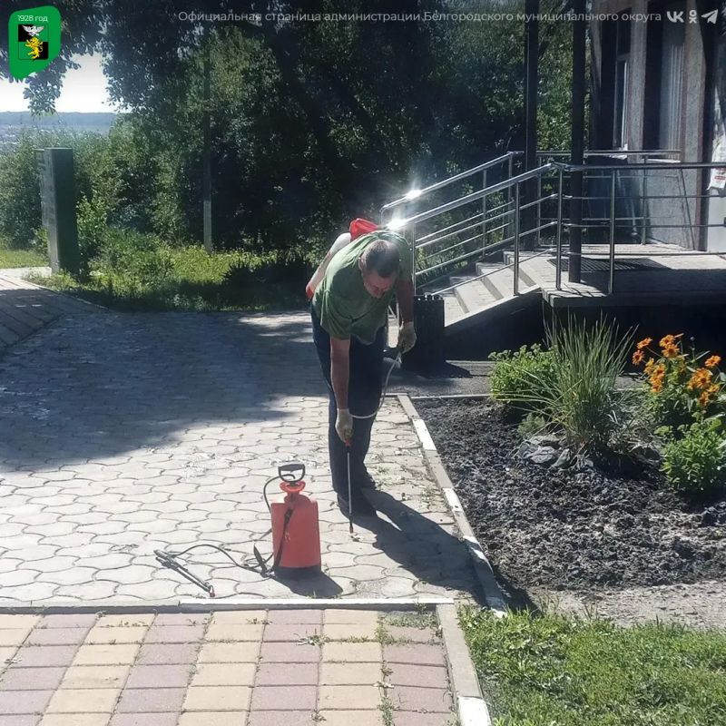 В Белгородском округе продолжаются работы по благоустройству В Белгородском округе продолжаются работы по благоустройству