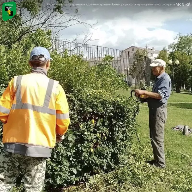 В Белгородском округе продолжаются работы по благоустройству В Белгородском округе продолжаются работы по благоустройству