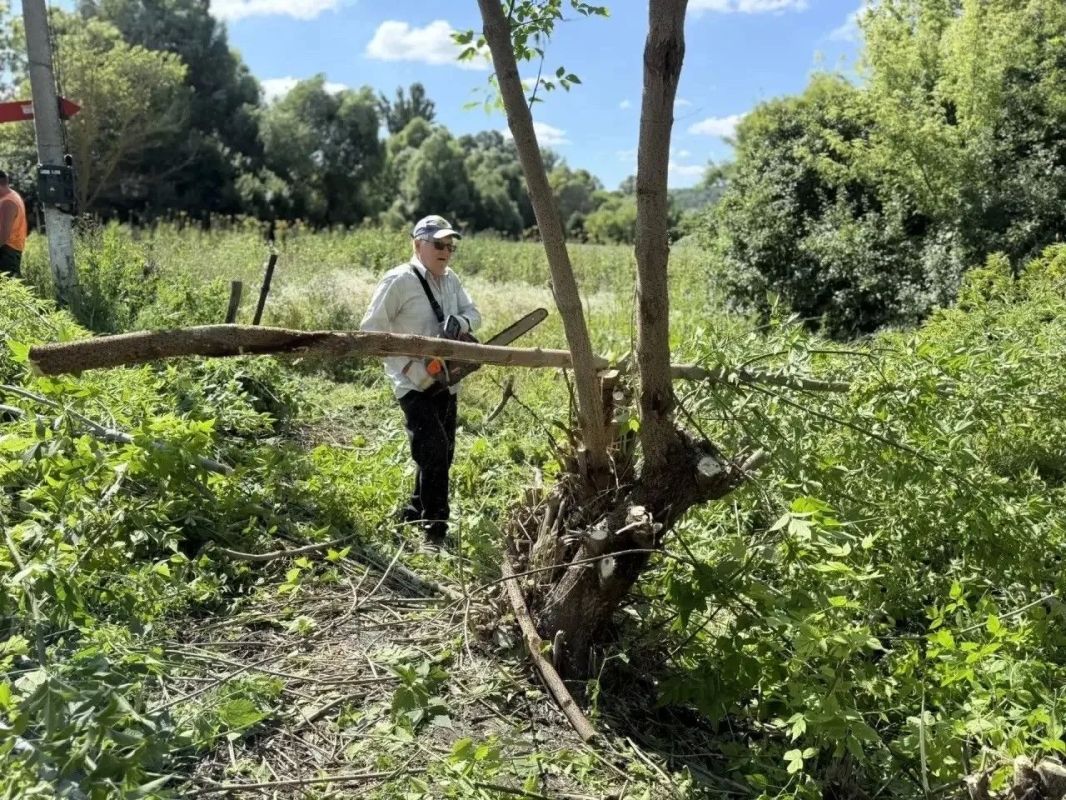 В селе Сажном Яковлевского округа сделали первый шаг к созданию новой аллеи В селе Сажном Яковлевского округа сделали первый шаг к созданию новой аллеи