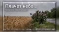 Александр Малькевич: МУЗЫКА НА КАНАЛЕ. Песня: «Плачет небо»