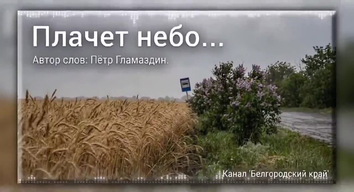 Александр Малькевич: МУЗЫКА НА КАНАЛЕ. Песня: «Плачет небо»