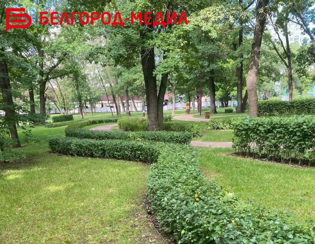 С начала весны в белгородском парке им. Ленина высадили уже 200 новых деревьев С начала весны в белгородском парке им. Ленина высадили уже 200 новых деревьев