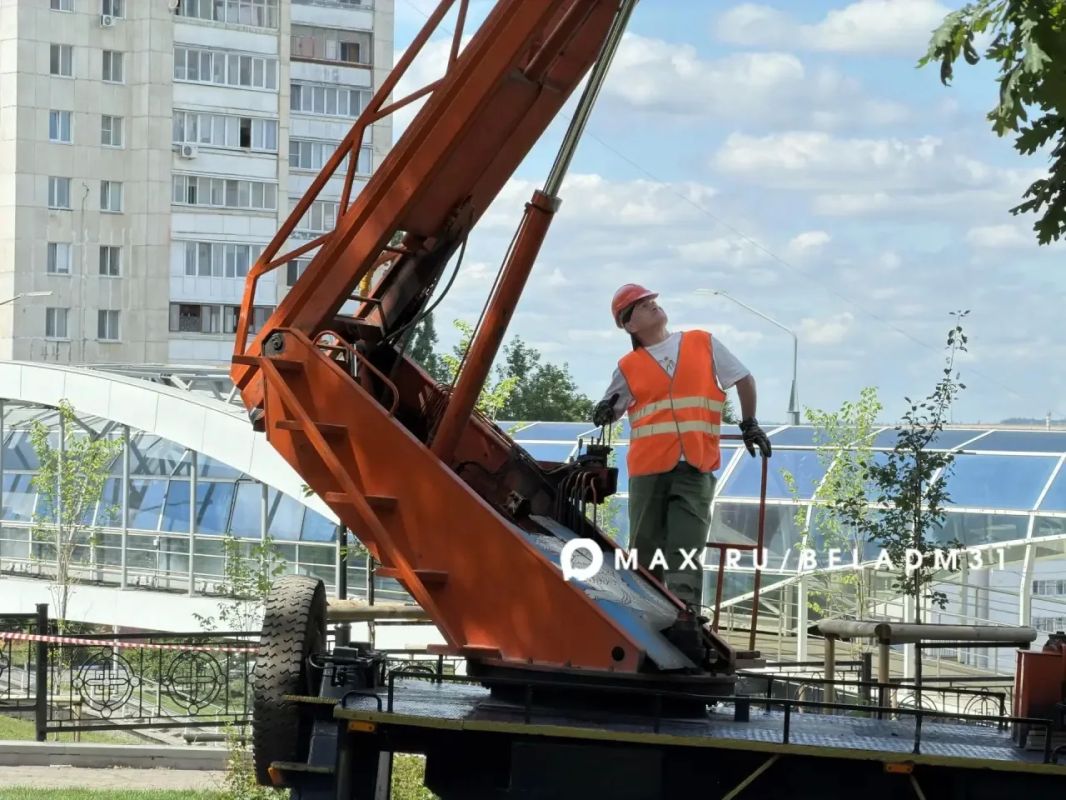 Этой осенью на Пушкинской аллее высадят 160 молодых деревьев Этой осенью на Пушкинской аллее высадят 160 молодых деревьев