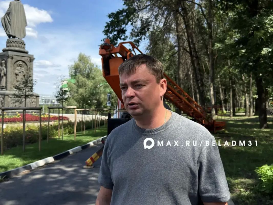 Этой осенью на Пушкинской аллее высадят 160 молодых деревьев Этой осенью на Пушкинской аллее высадят 160 молодых деревьев