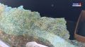 Кадры последствий взрыва беспилотника ВСУ в центре областной столицы: на месте ЧП работала наша съёмочная группа Только с утра при атаках вражеских «птиц» в Белгороде пострадали семь мирных жителей. Украинские боевики...