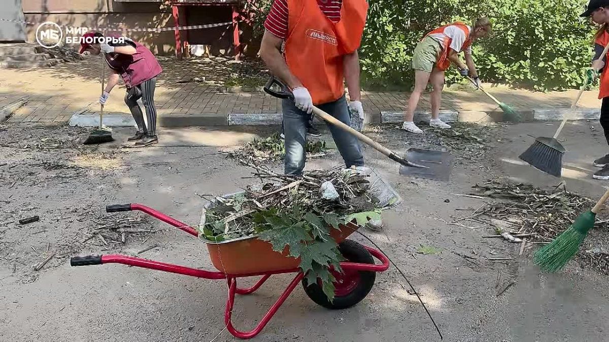 Белгород объединился Пока специалисты устраняют последствия атаки беспилотников, им на помощь пришли десятки волонтёров. Вместе они расчищают улицы от обломков и работают над тем, чтобы сохранить тепло в пострадавших домах