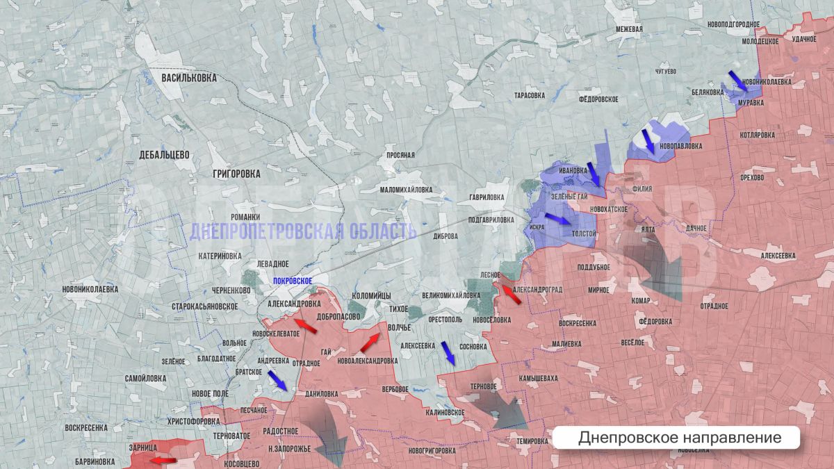 Олег Царёв: Фронтовая сводка 10 августа Олег Царёв: Фронтовая сводка 10 августа