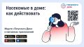Информируем вас о том, как бороться с появлением насекомых в многоквартирном доме