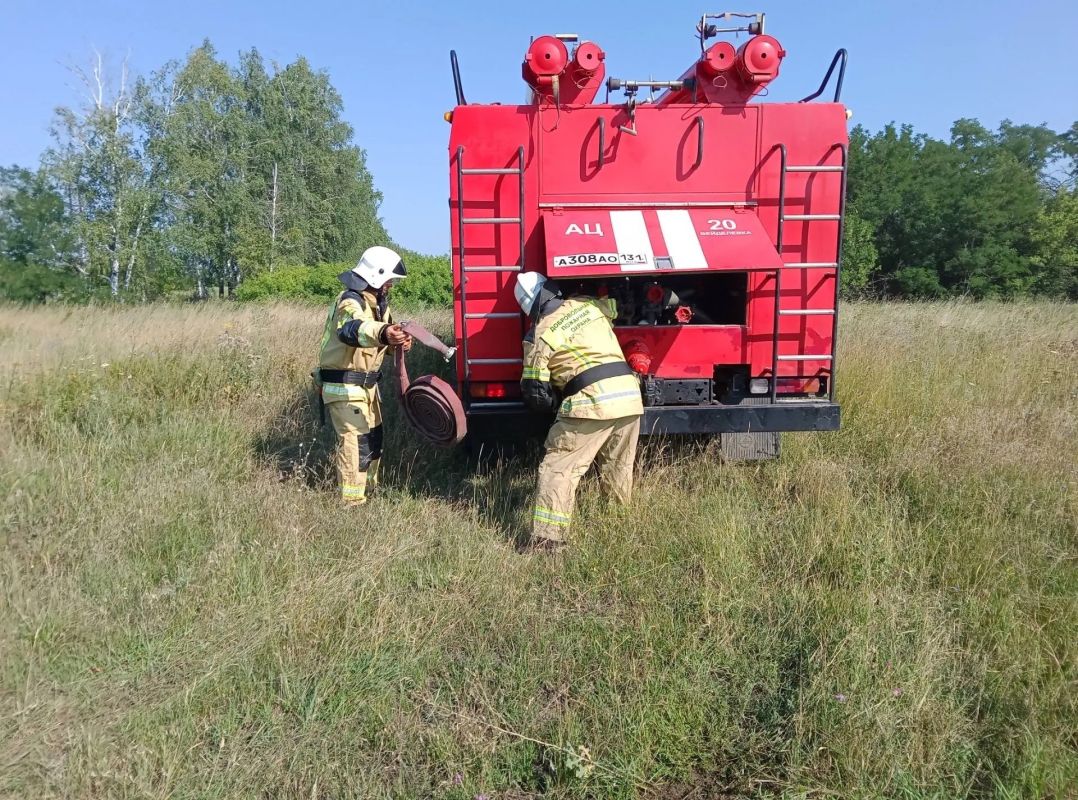 В селе Николаевка прошли командно-штабные учения по ликвидации лесных пожаров В селе Николаевка прошли командно-штабные учения по ликвидации лесных пожаров
