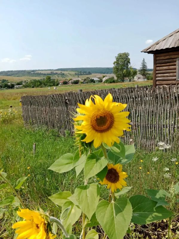 В Белгородской области состоялся первый выезд проекта иммерсивных исторических репортажей «С места событий», который является частью инициативы по изучению родного края «История Белгородчины» В Белгородской области состоялся первый выезд проекта иммерсивных исторических репортажей «С места событий», который является частью инициативы по изучению родного края «История Белгородчины»