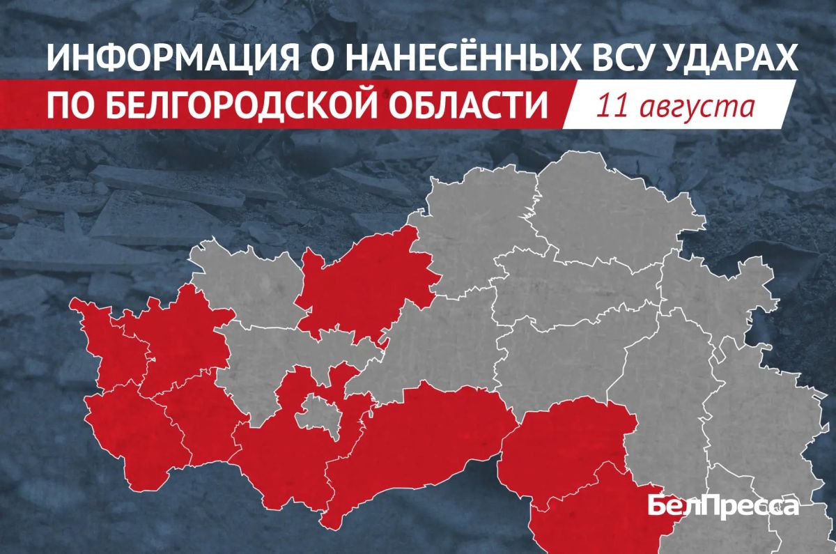 За сутки Белгородская область 174 раза стала мишенью армии Украины