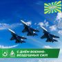 Василий Голиков: С Днем Военно-воздушных сил России!