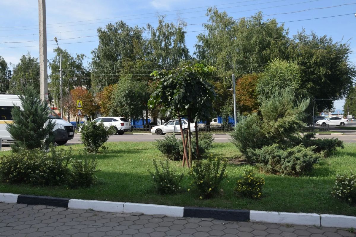 Пешком по Вейделевке: внимание к деталям и развитие общественных пространств Пешком по Вейделевке: внимание к деталям и развитие общественных пространств
