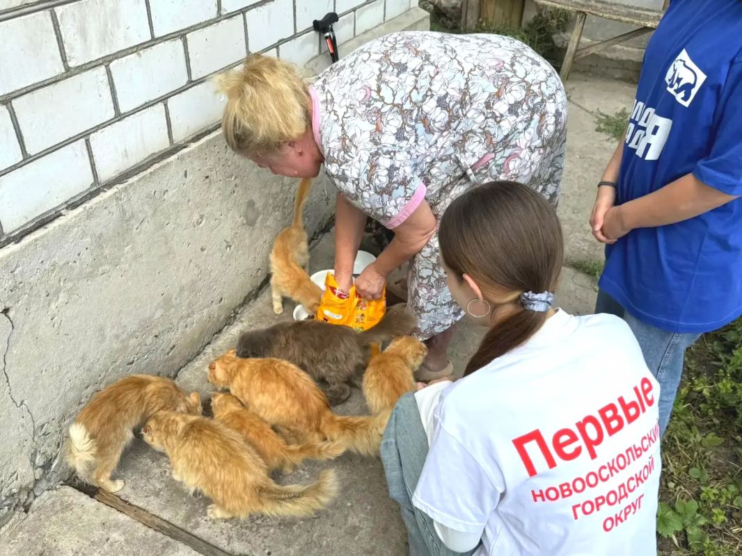 Заботой о меньших: молодёжь Новооскольского округа помогает животным Заботой о меньших: молодёжь Новооскольского округа помогает животным