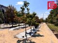 � ��������� �� ����� ������ ��������� ��������� ��������������� ���������� ���� �� ��������� �������� � �� ������� �� ����� ������� �� ����� �������