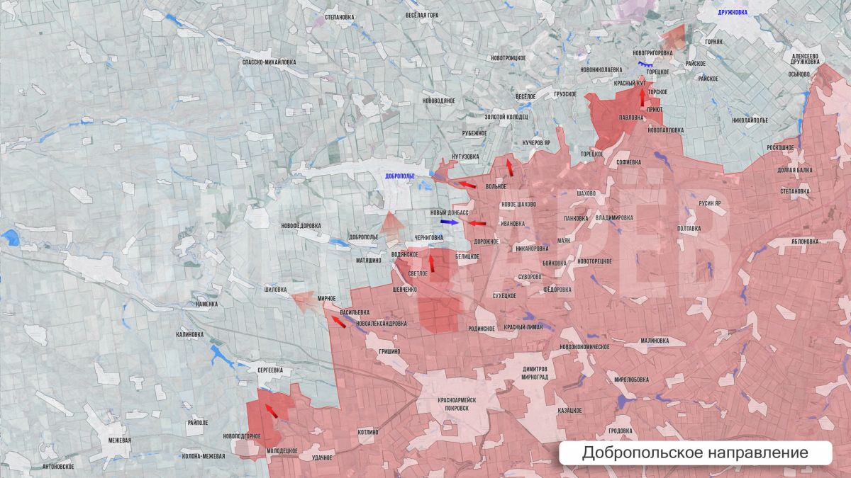 Олег Царёв: Фронтовая сводка 14 августа Олег Царёв: Фронтовая сводка 14 августа