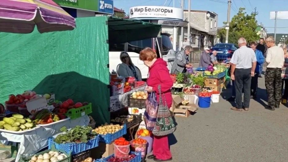 Андрей Миськов: Традиционная ярмарка в Новом Осколе - территория вкуса и яркости Андрей Миськов: Традиционная ярмарка в Новом Осколе - территория вкуса и яркости