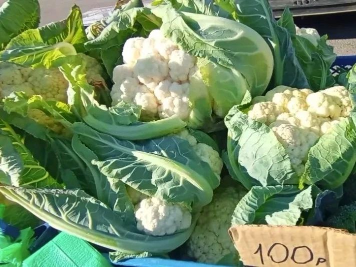 Андрей Миськов: Традиционная ярмарка в Новом Осколе - территория вкуса и яркости Андрей Миськов: Традиционная ярмарка в Новом Осколе - территория вкуса и яркости