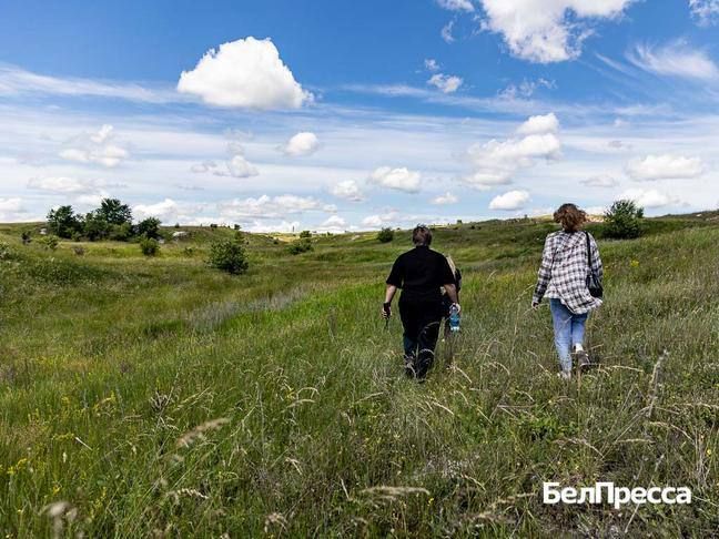В поисках Перуновых стрел. Как проходят экскурсии по берегам Пены в Ракитянском округе В поисках Перуновых стрел. Как проходят экскурсии по берегам Пены в Ракитянском округе