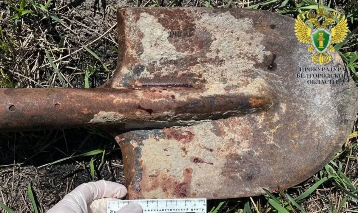 Семь лет колонии общего режима получила 58-летняя жительница Губкинского округа за жестокое убийство соседа