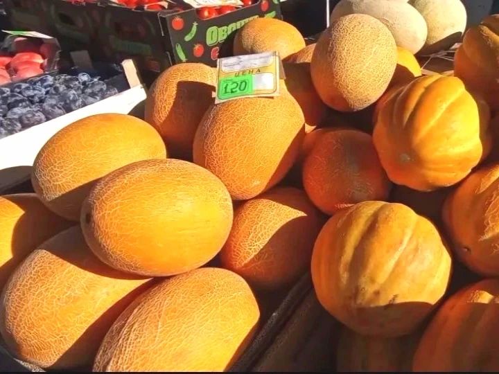 Андрей Миськов: Традиционная ярмарка в Новом Осколе - территория вкуса и яркости Андрей Миськов: Традиционная ярмарка в Новом Осколе - территория вкуса и яркости