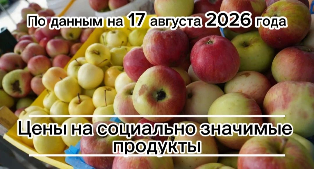Владимир Переверзев: Где дешевле всего купить необходимые продукты в посёлке Борисовка