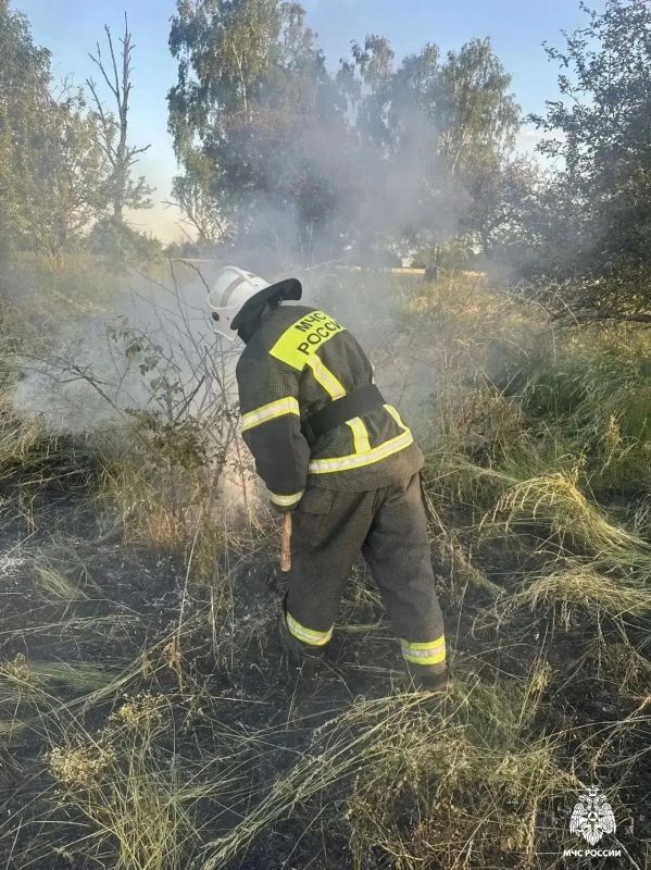 За прошедшую неделю зарегистрировано 30 пожаров, 7 из которых произошли в жилье За прошедшую неделю зарегистрировано 30 пожаров, 7 из которых произошли в жилье