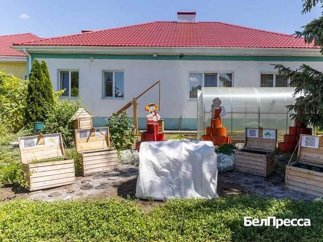 Перцы в сундуке. Как в Вейделевке появился детско-юношеский агрохолдинг Перцы в сундуке. Как в Вейделевке появился детско-юношеский агрохолдинг