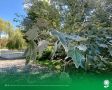 17 августа. Температура воздуха 31°C, переменная облачность, без осадков