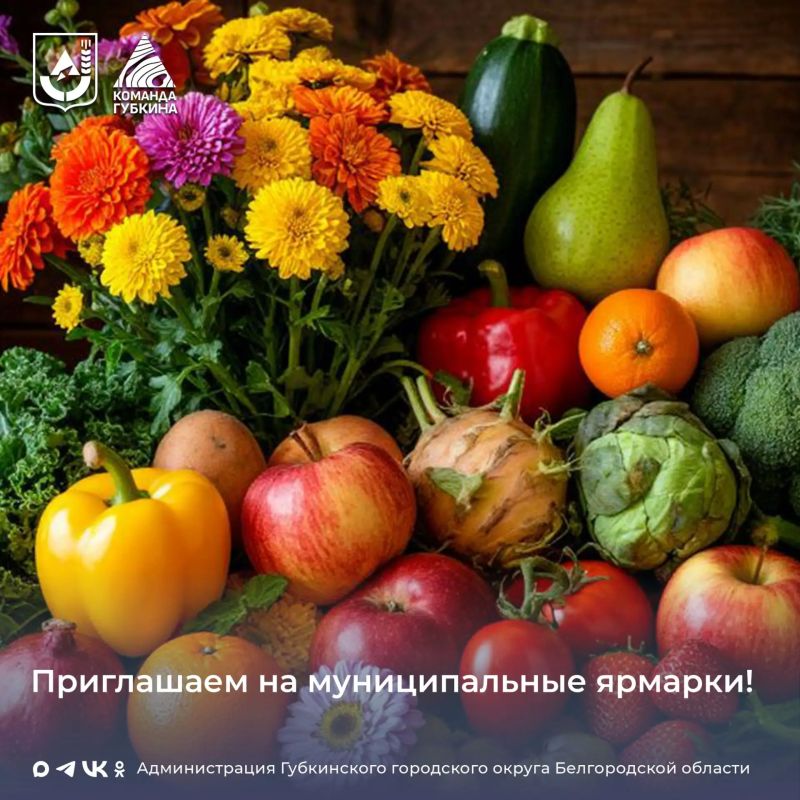Приглашаем на ярмарки!. 22 августа и 23 августа 2026 года администрацией Губкинского городского округа будут организованы муниципальные ярмарки